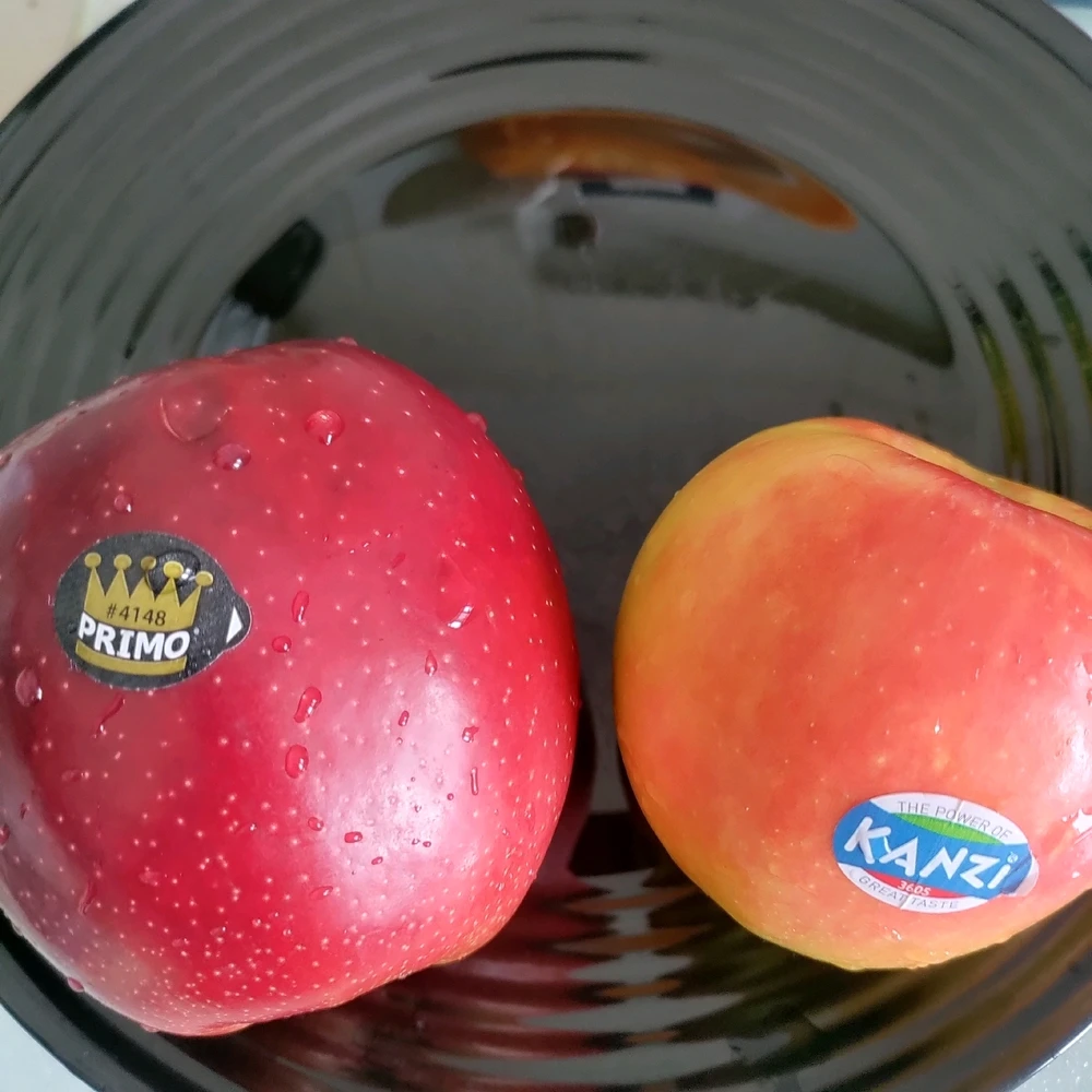 GIF uploaded by Sofija