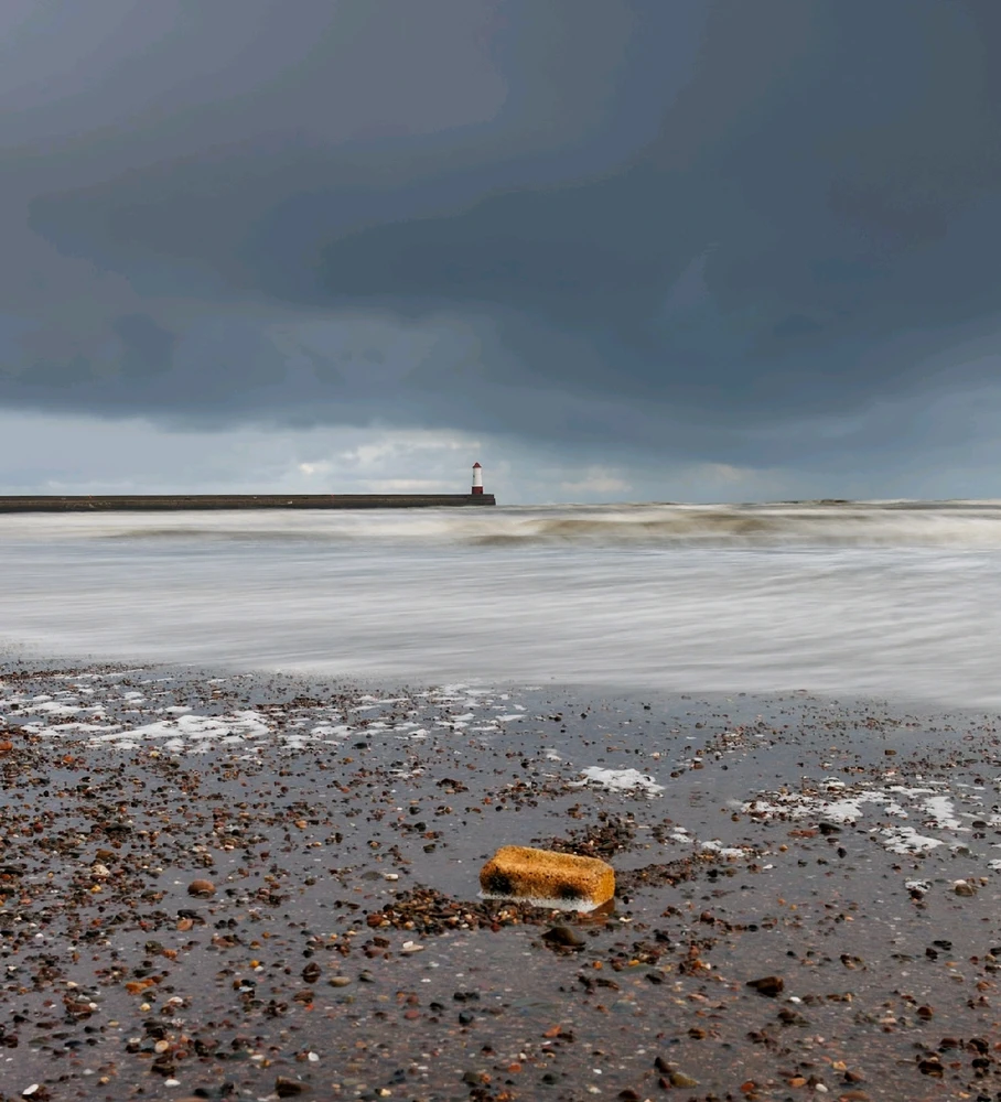 GIF uploaded by Scott