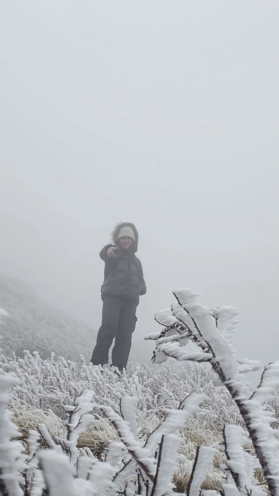 Image uploaded by Hades