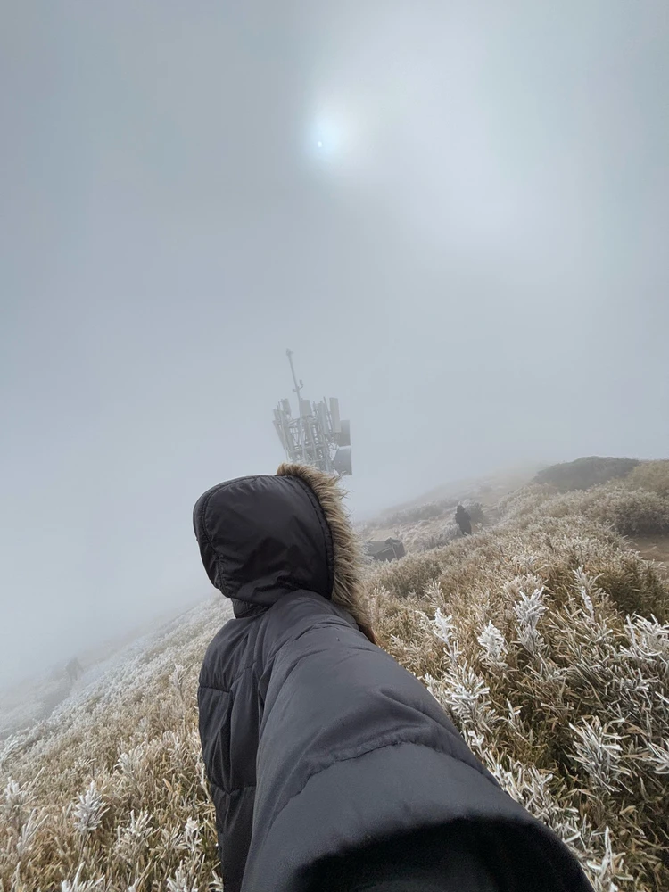 Image uploaded by Hades