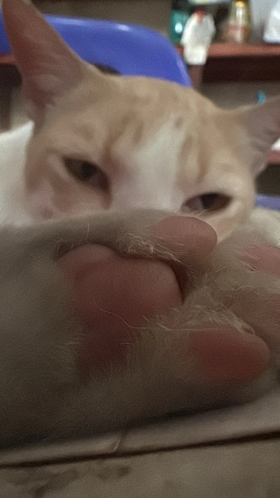 Image uploaded by John