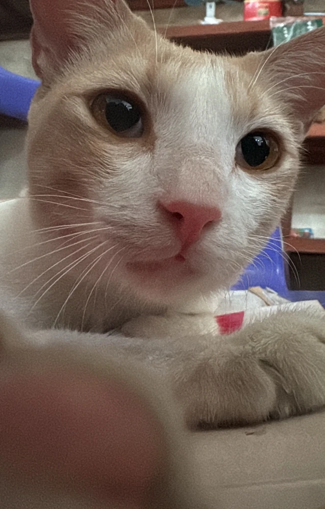 Image uploaded by John