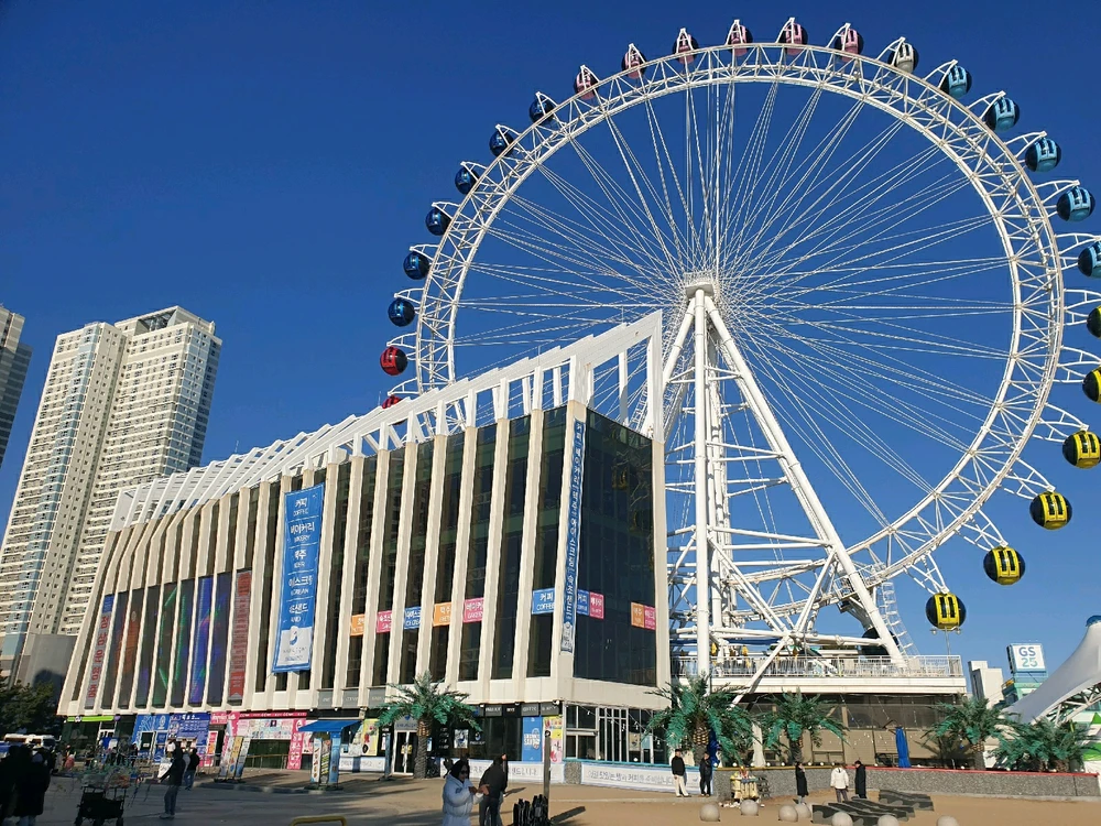 아버님이 올린 사진