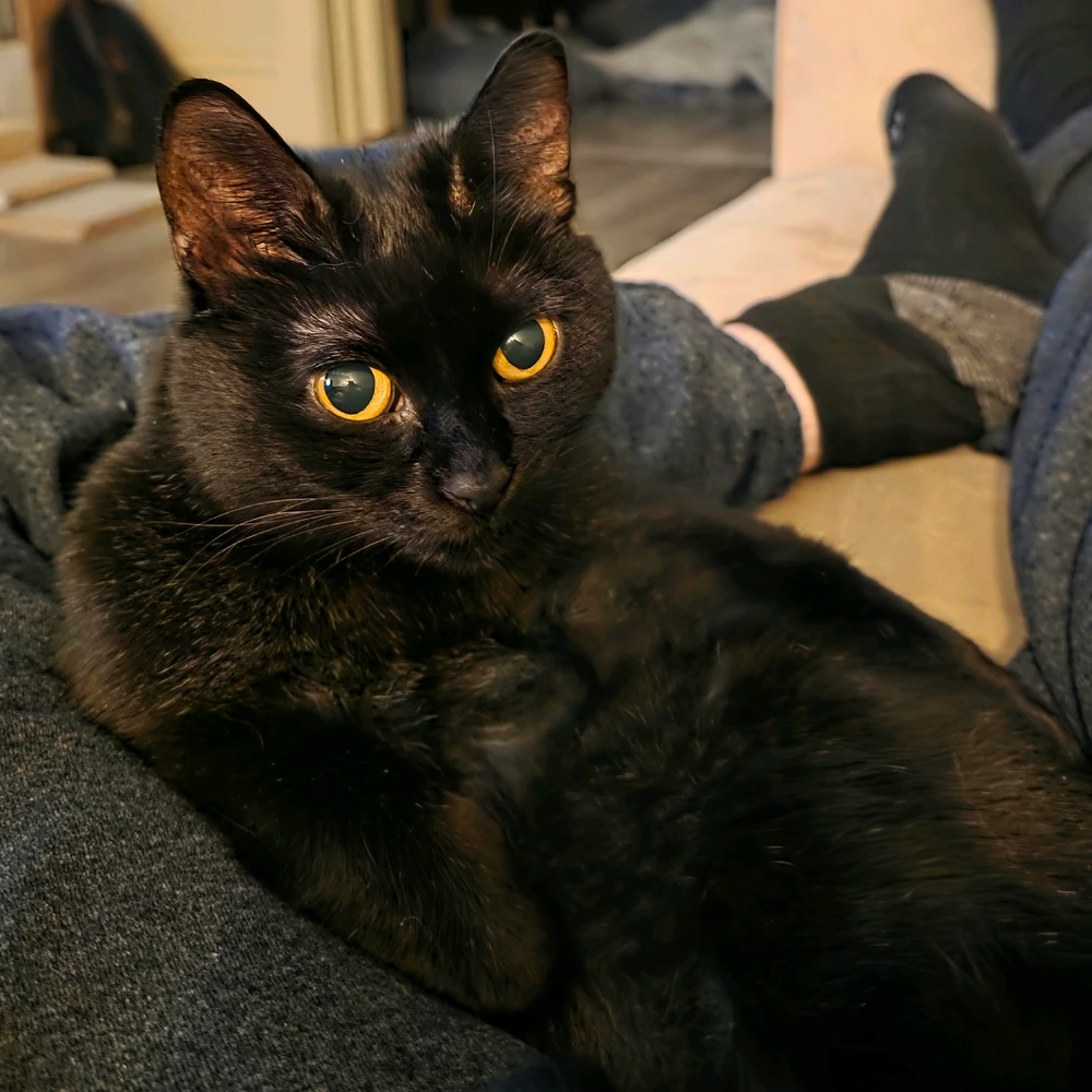 GIF uploaded by Matt