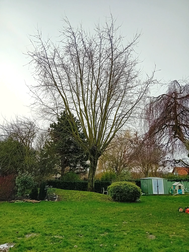 GIF ajouté par Marie