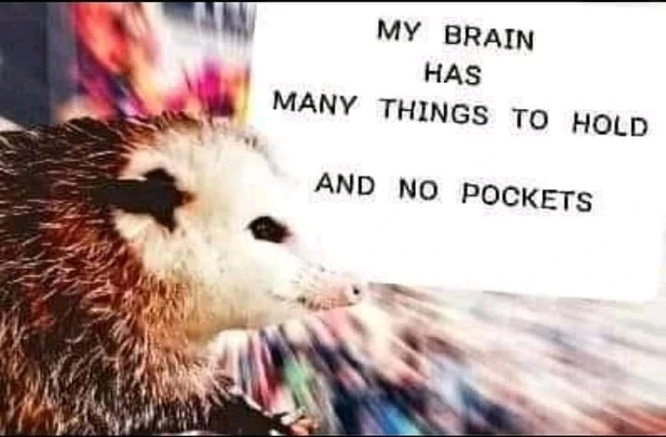 GIF uploaded by Rose