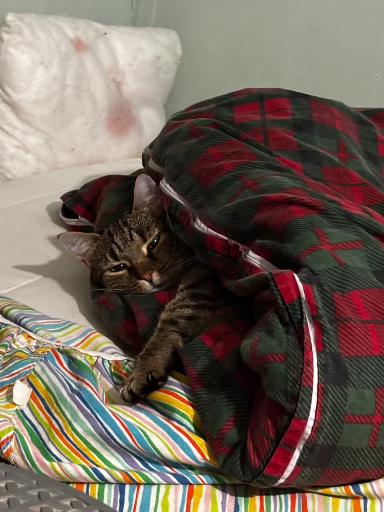 GIF uploaded by Amelia