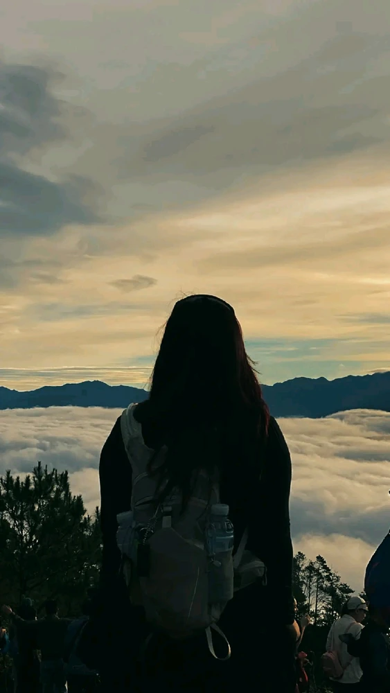 Image uploaded by Haia