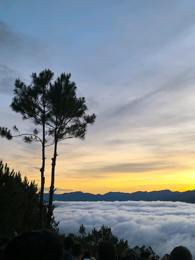 Image uploaded by Haia