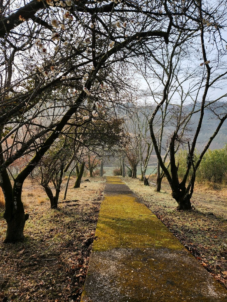 Image uploaded by Gordi