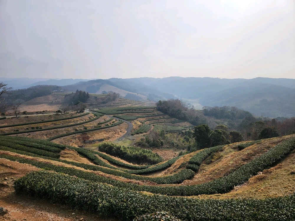 Image uploaded by Gordi