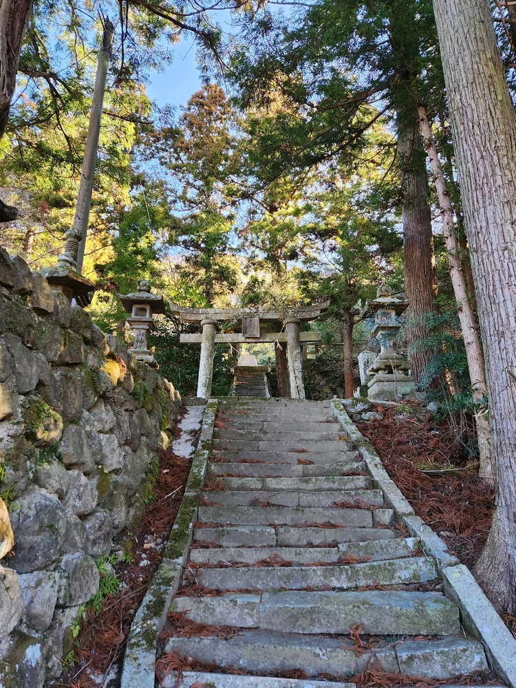 Image uploaded by Gordi