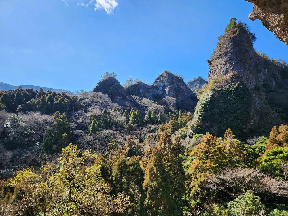 Image uploaded by Gordi