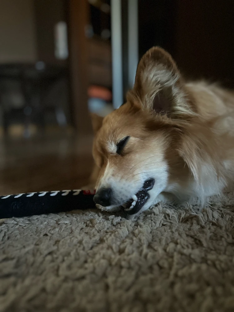 GIF загрузил Елизавета