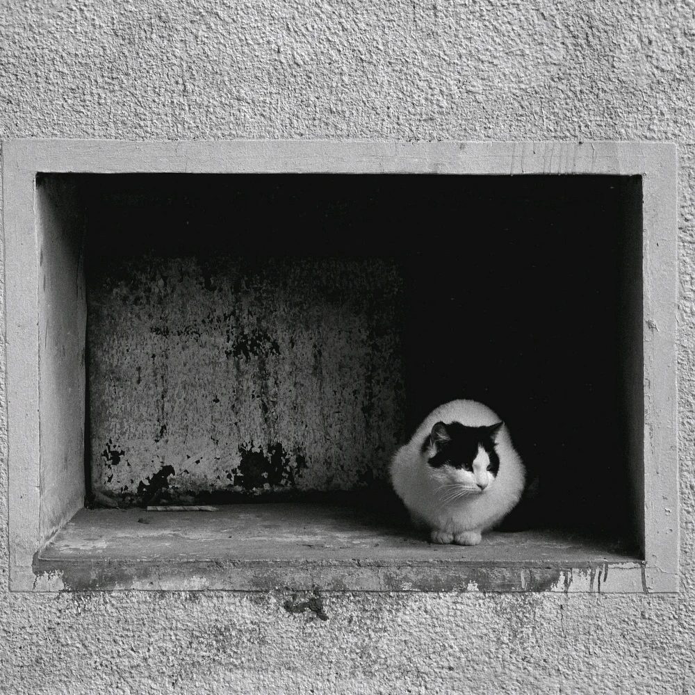 GIF otpremio/la Luka