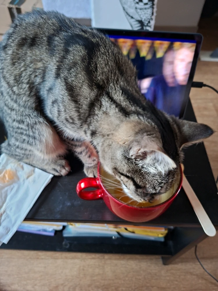 GIF ajouté par Clarisse