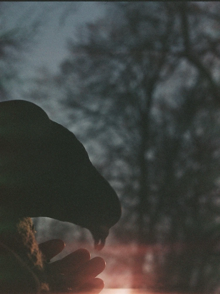 Obrázek nahrál Kateřina