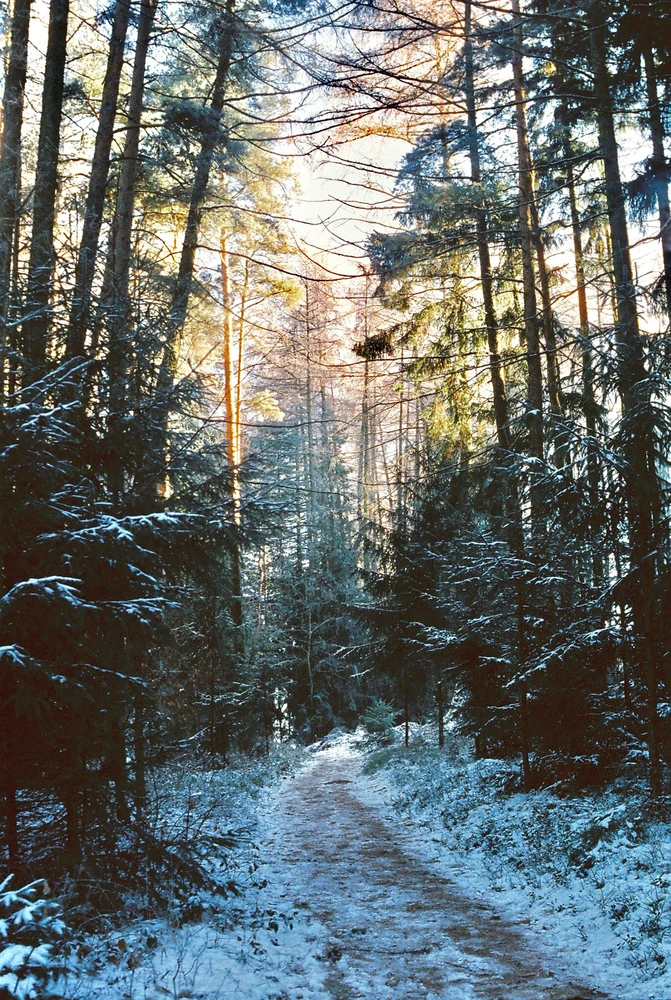 Obrázek nahrál Kateřina