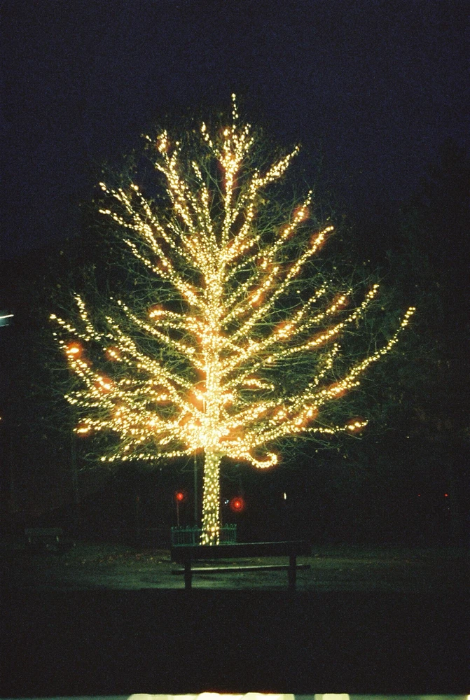 Obrázek nahrál Kateřina