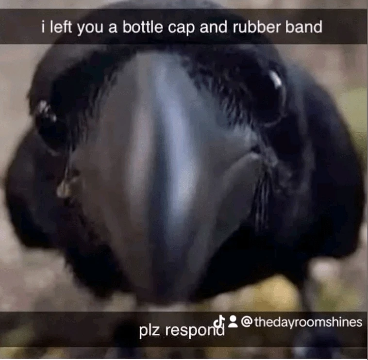 GIF uploaded by Kuba