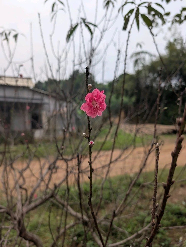 GIF được Hoà tải lên