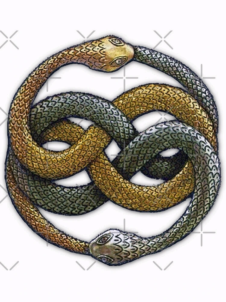 Image ajoutée par Nio