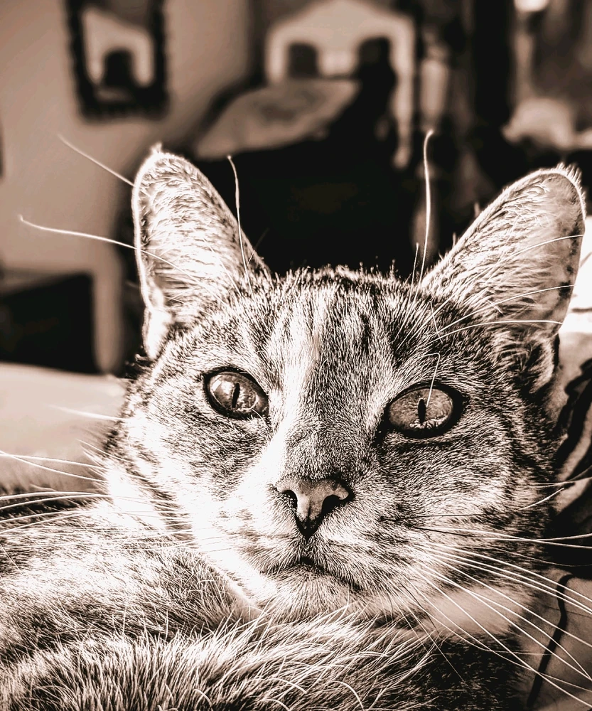 GIF dodany przez Nikola