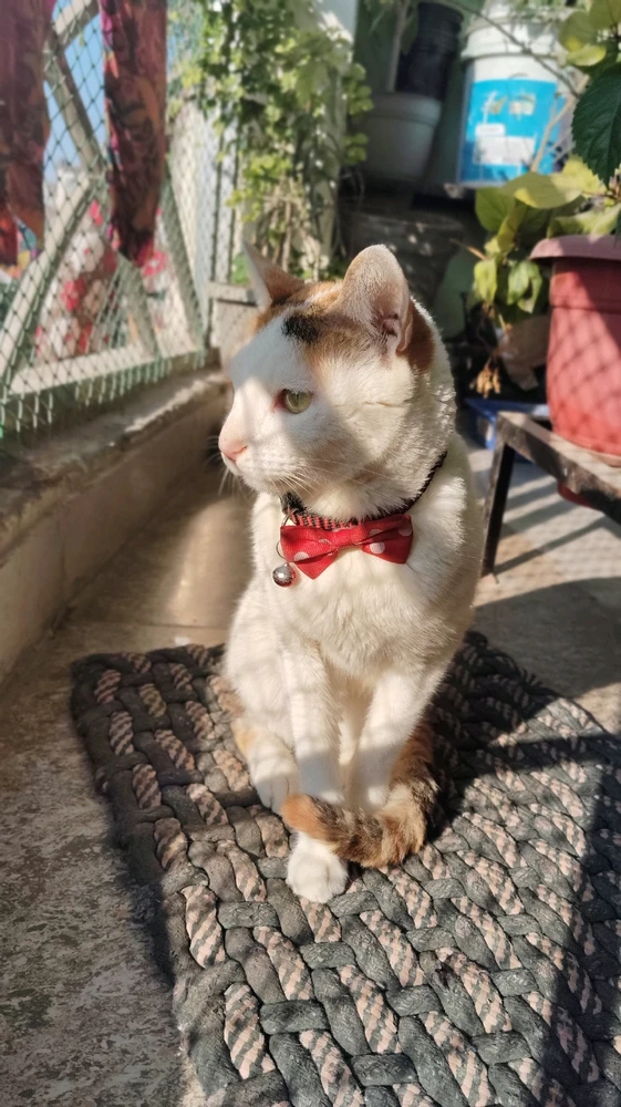 GIF uploaded by Shreyash