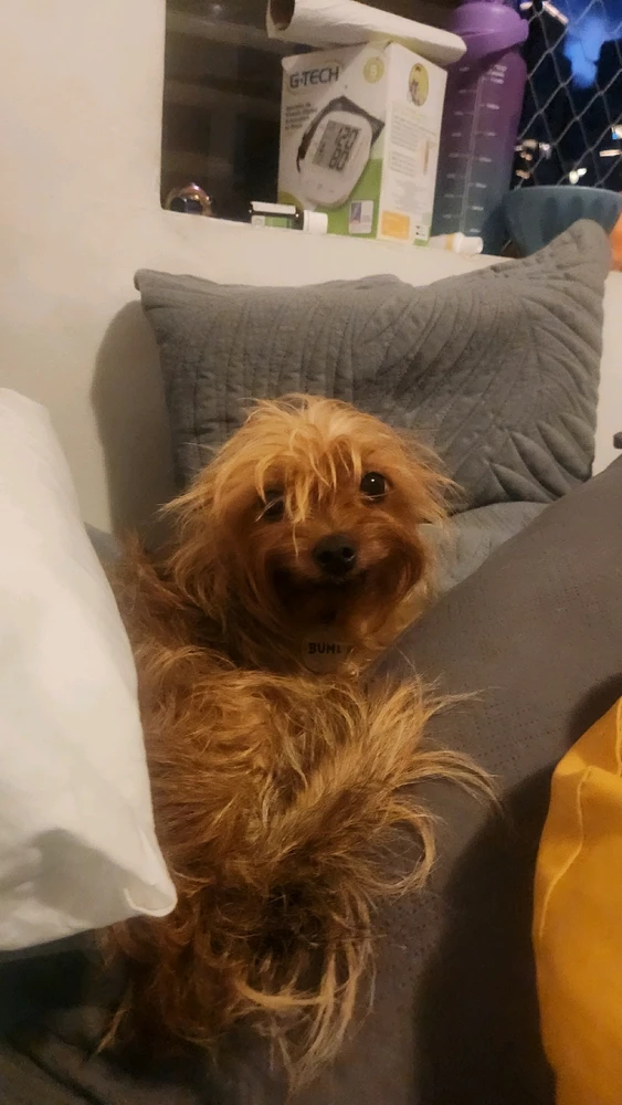 GIF enviado por Lucas