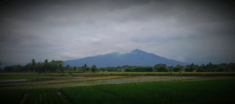 GIF diunggah oleh Ophidian armon