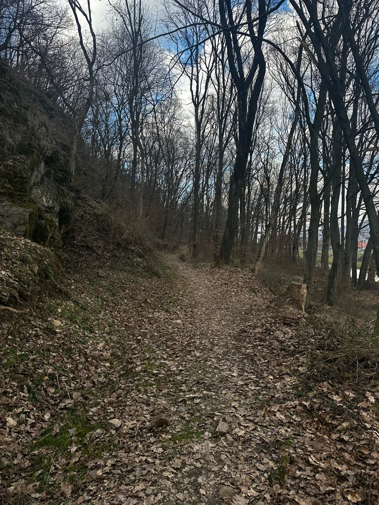 Зображення завантажив liliia