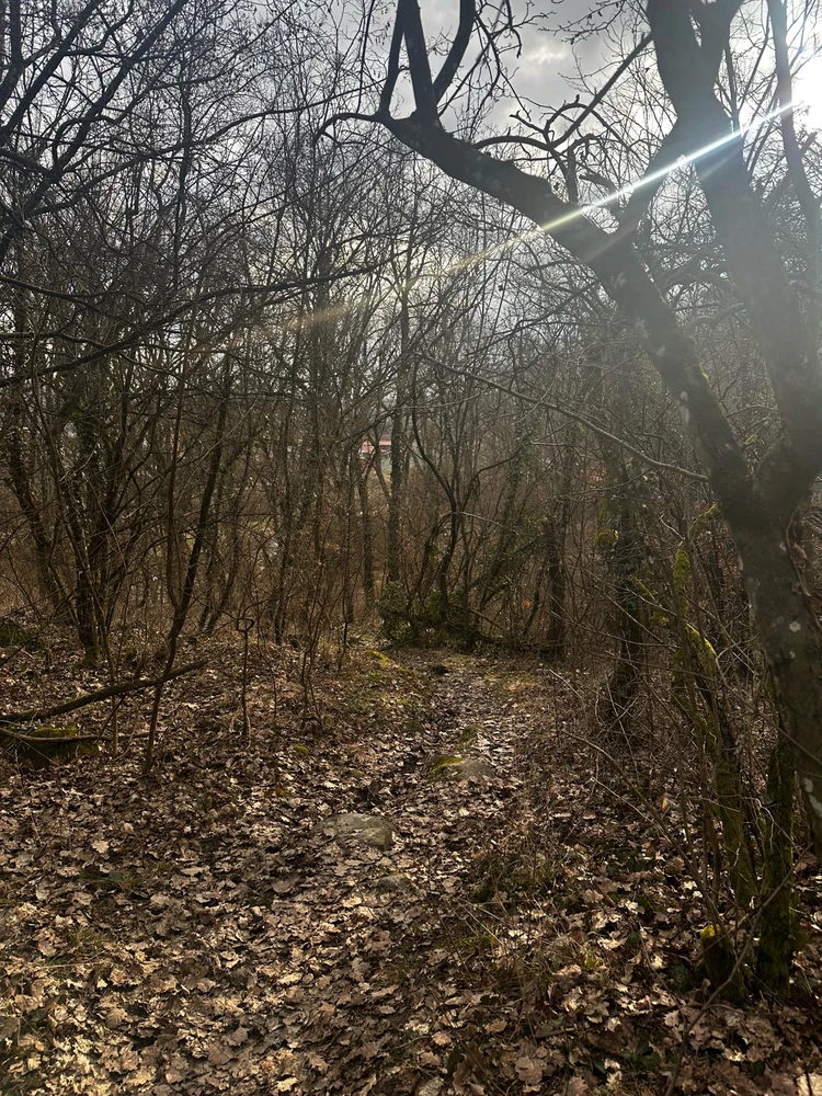 Зображення завантажив liliia