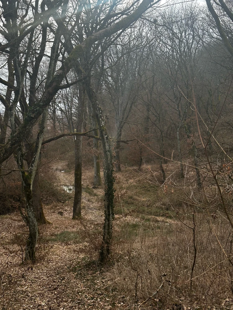 Зображення завантажив liliia