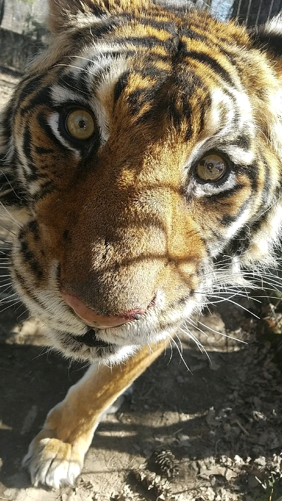 GIF uploaded by Erin