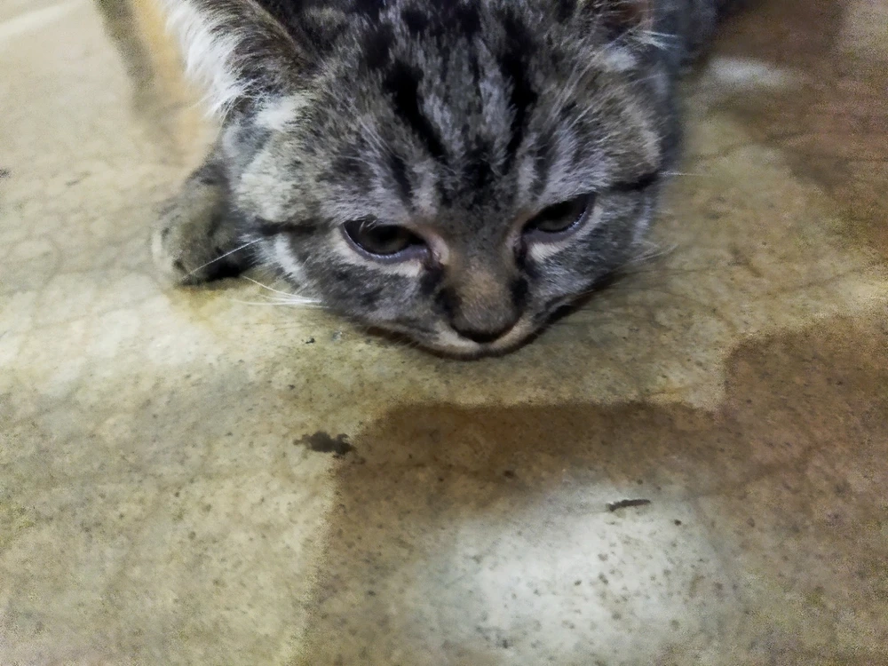 Image uploaded by Isay