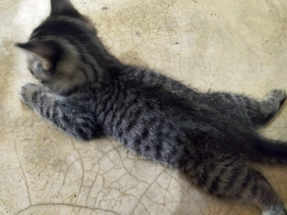 Image uploaded by Isay