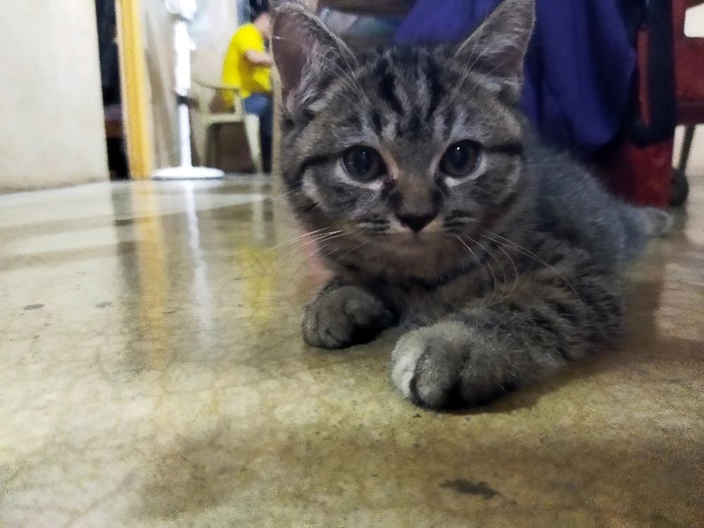 Image uploaded by Isay