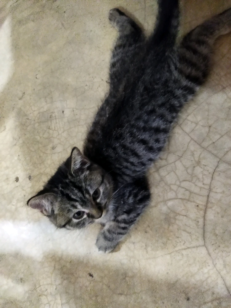 Image uploaded by Isay