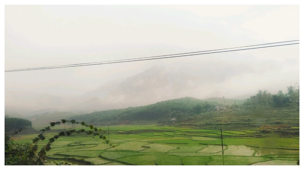 GIF được Boong tải lên