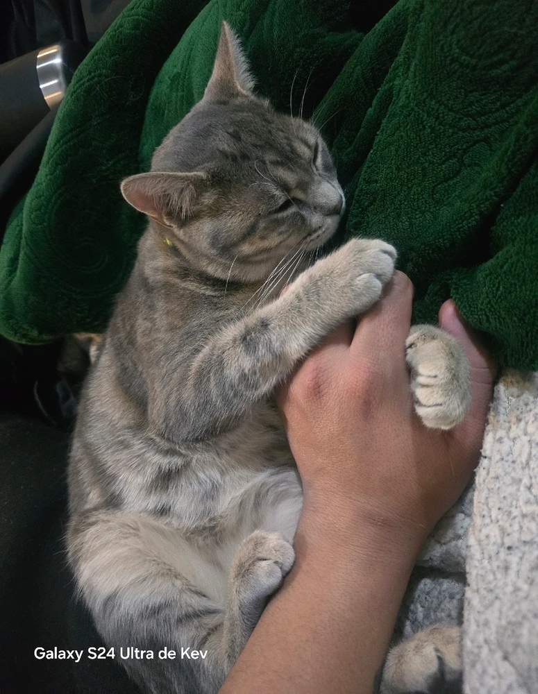 GIF subido por Kevin