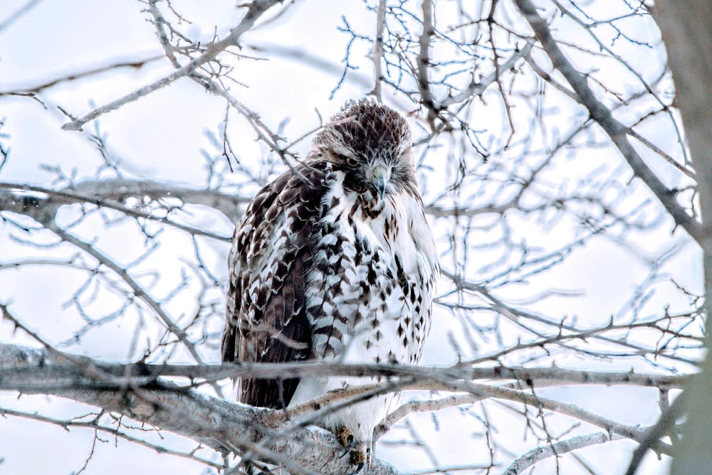 GIF uploaded by Alex