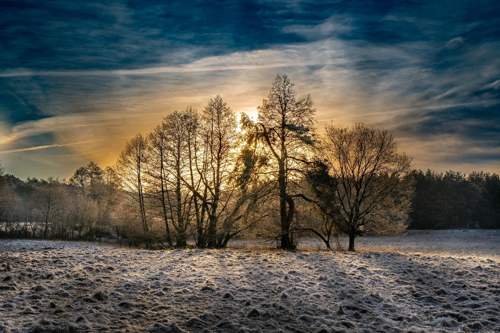 GIF dodany przez Jarek