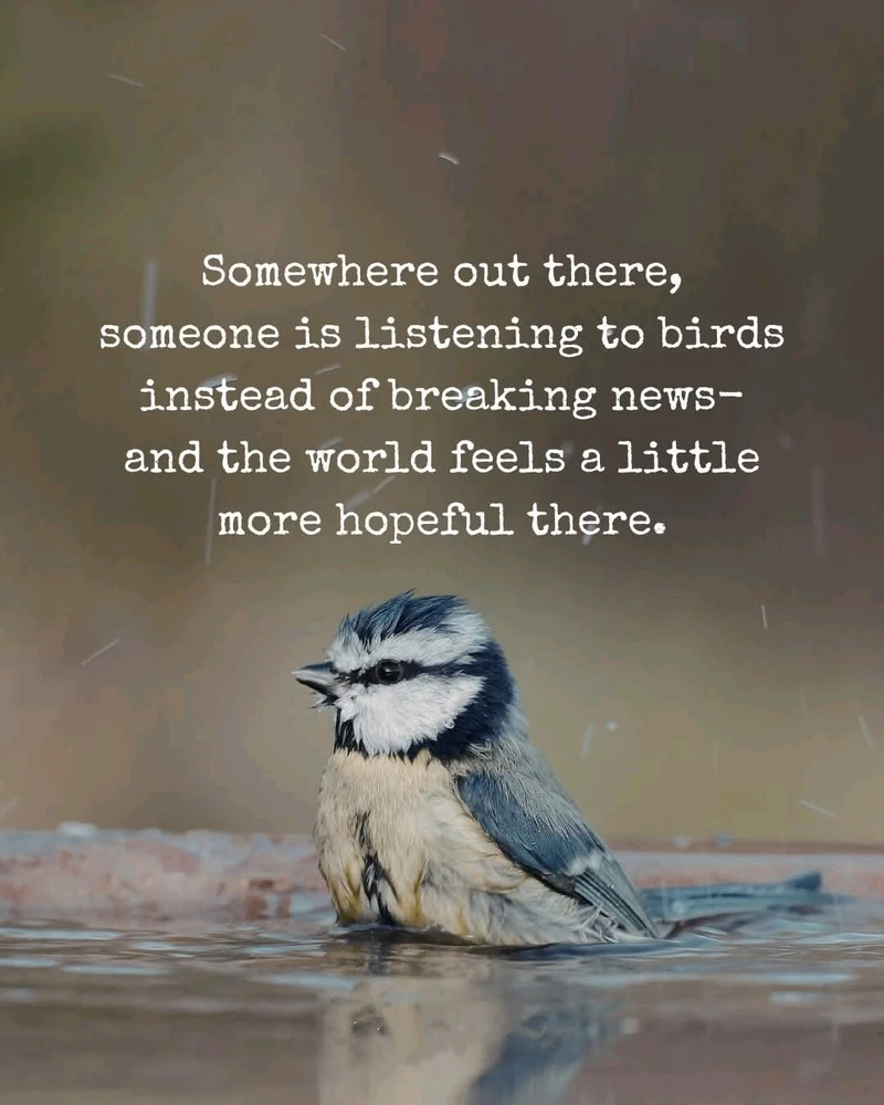 GIF uploaded by Melanie