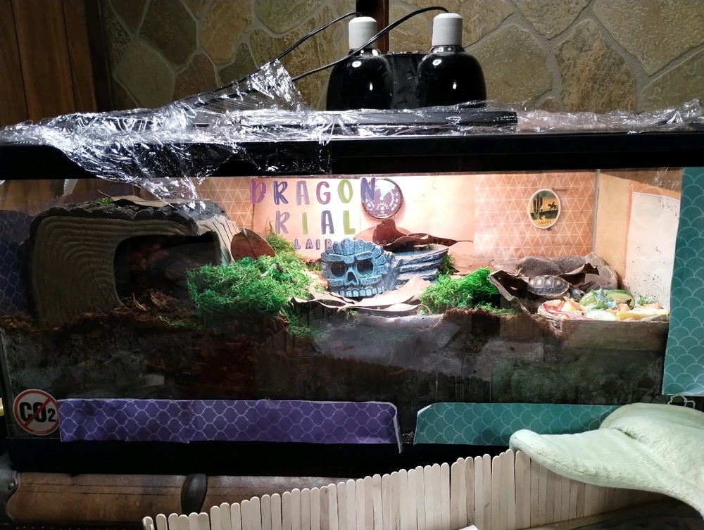 GIF uploaded by Drew mcninch