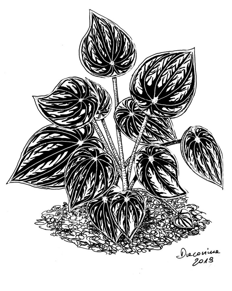 GIF uploaded by Czarna_Kosmitka