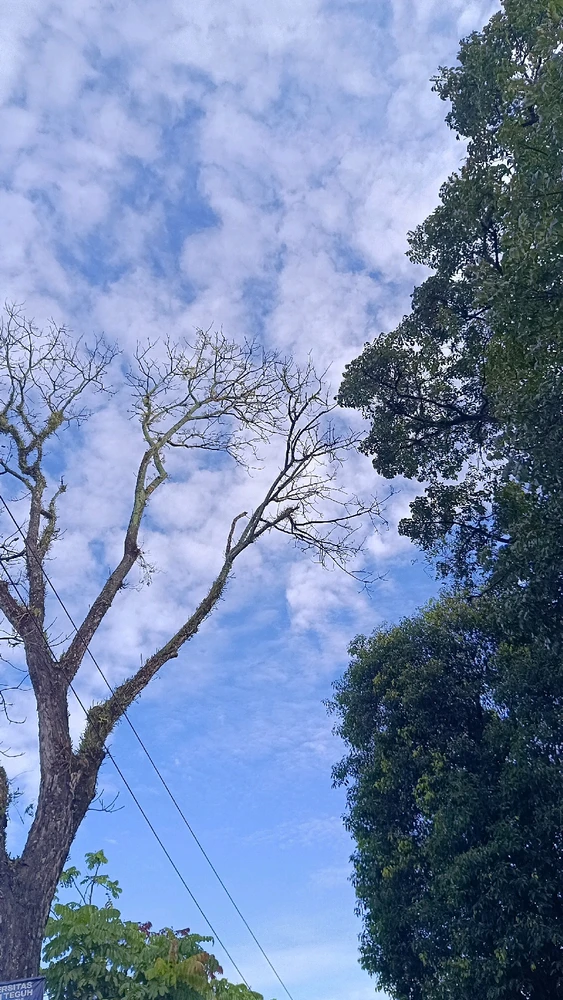 GIF uploaded by Elers