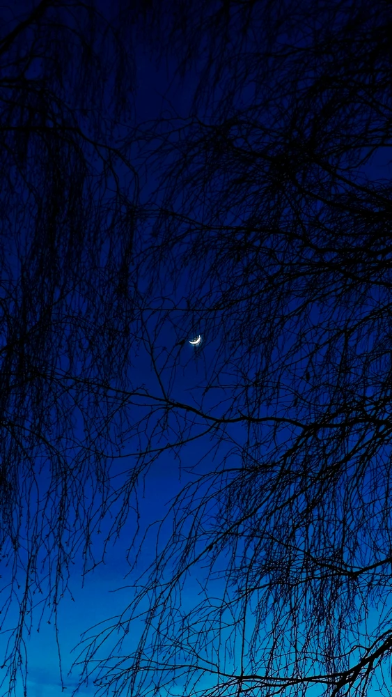 GIF įkėlė Karolina