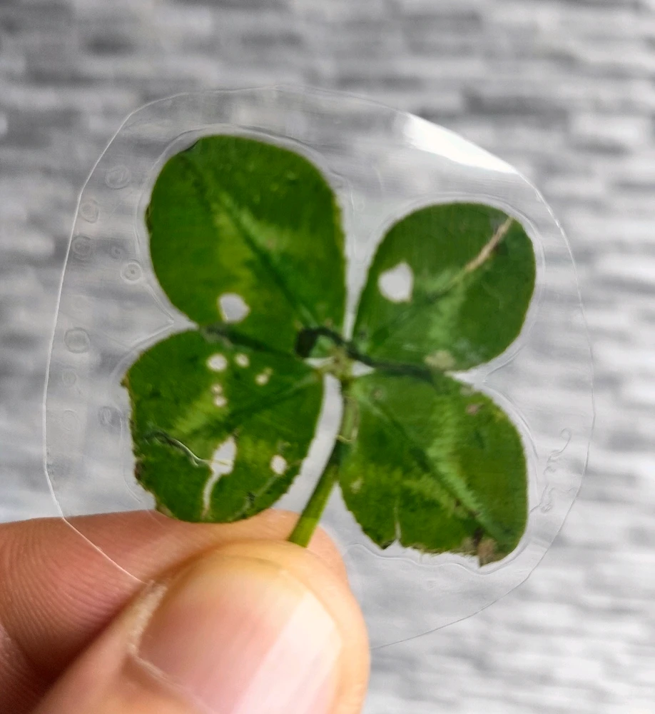 GIF caricata da Marco