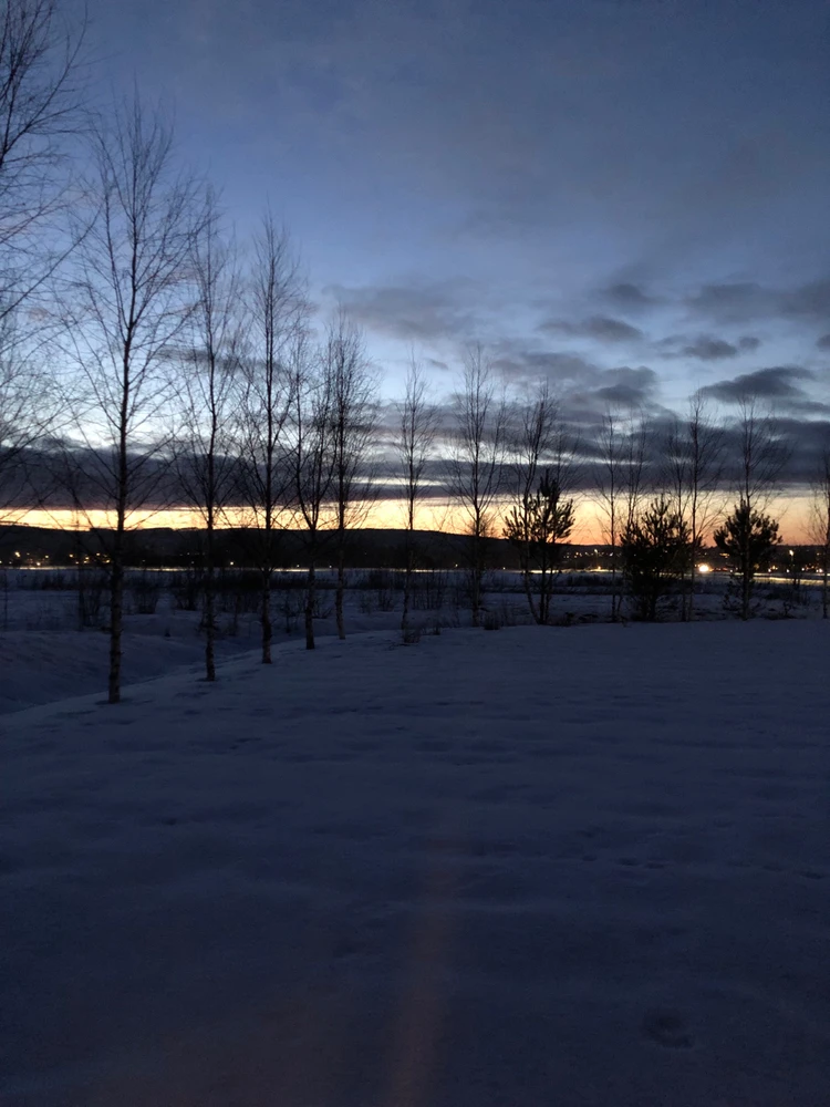 Bild uppladdad av Theo