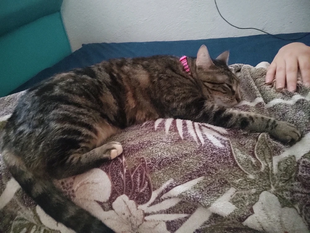 GIF uploaded by Eleana